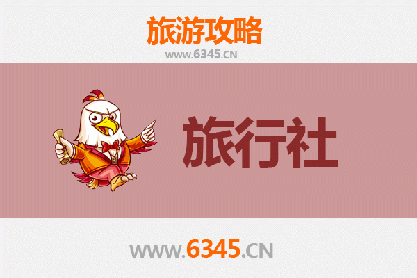 保亭南林乡本地旅行社推荐 | 深度探索雨林秘境与黎苗文化