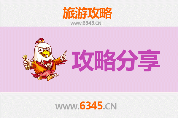 保亭南林乡至南澳岛深度游攻略：雨林到海岛的奇幻之旅